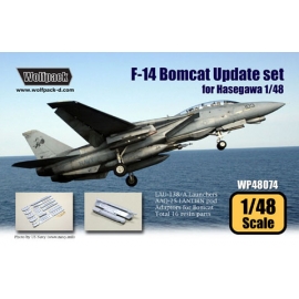 F-14 Bomcat Update set (for Hasegawa 1/48)