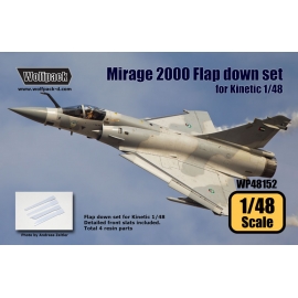 Mirage 2000 Flap dwon set (for Kinetic 1/48)