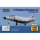 F-4 Phantom II Hard Wing Flap down set (for Tamiya 1/32)