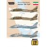 The Last Active Tomcats - Iranian "Alicat" (F-14A Tomcat)