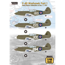 P-40 Warhawk Part.1 - Pearl Harbor Defenders at Dec. 7, 1941
