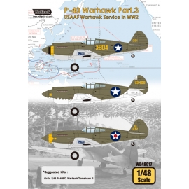 P-40 Warhawk Part.3 - USAAF Warhawk Service in WW2